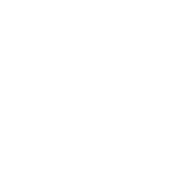 PropLense Logo